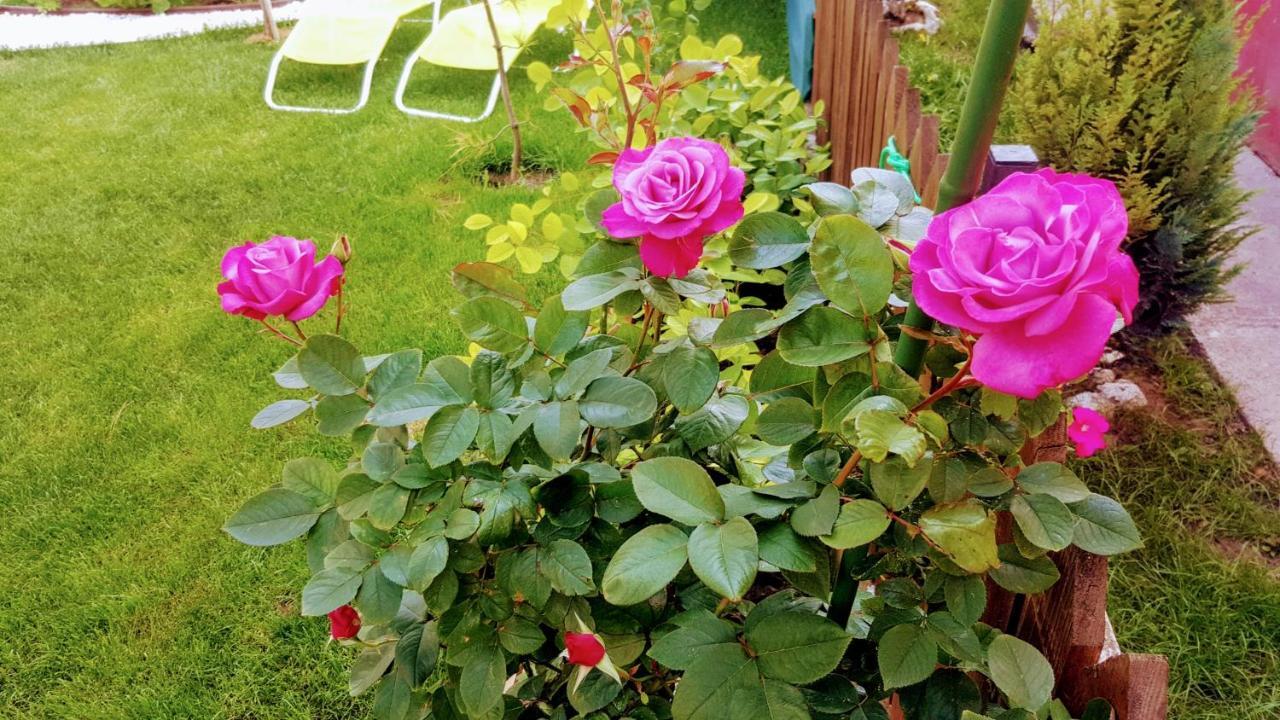 Villa Sanitas Tekirgöl Dış mekan fotoğraf