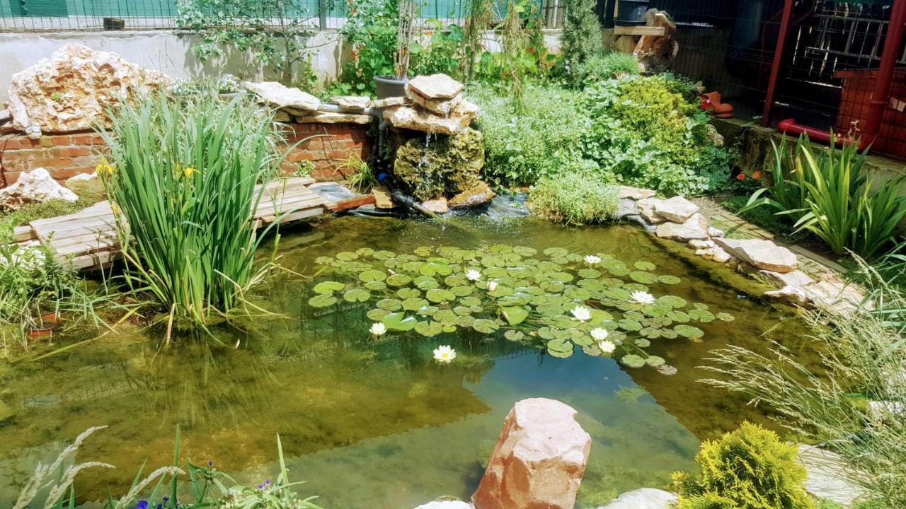 Villa Sanitas Tekirgöl Dış mekan fotoğraf
