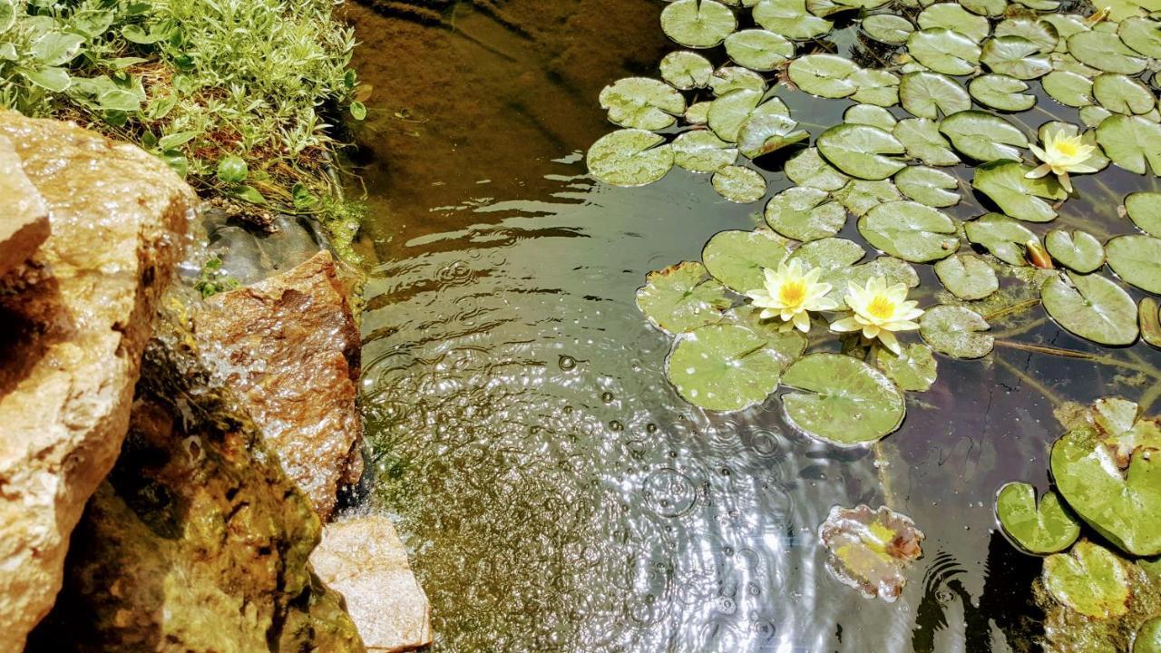 Villa Sanitas Tekirgöl Dış mekan fotoğraf